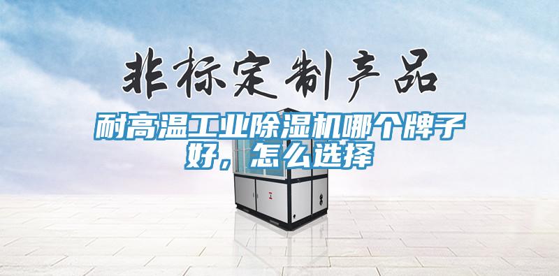 耐高溫工業(yè)除濕機哪個牌子好，怎么選擇