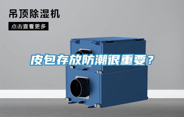 皮包存放防潮很重要？