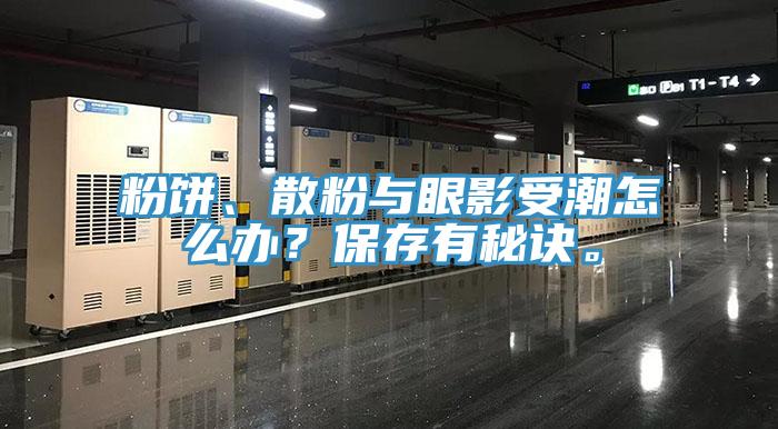 粉餅、散粉與眼影受潮怎么辦？保存有秘訣。