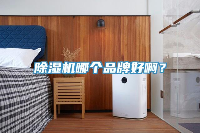 除濕機哪個品牌好?。?></div>
								<div   id=