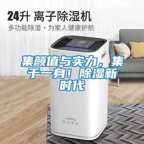集顏值與實(shí)力，集于一身！除濕新時(shí)代