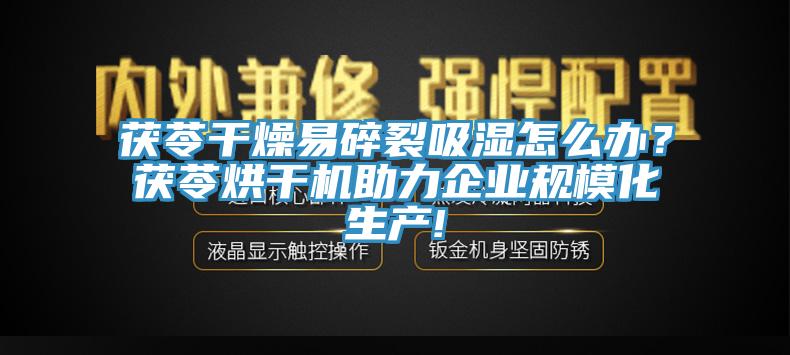 茯苓干燥易碎裂吸濕怎么辦？茯苓烘干機助力企業(yè)規(guī)模化生產(chǎn)!