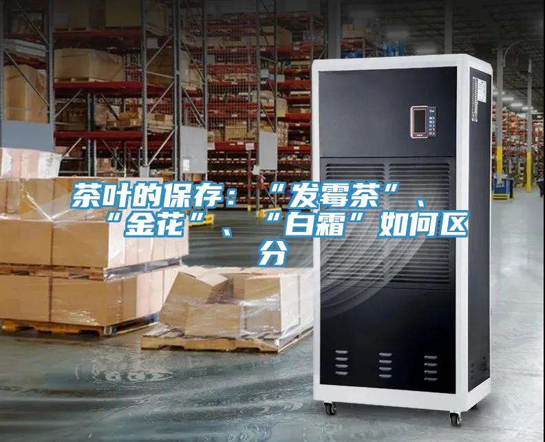 茶葉的保存：“發(fā)霉茶”、“金花”、“白霜”如何區(qū)分
