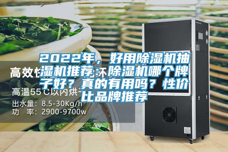 2022年，好用除濕機(jī)抽濕機(jī)推薦：除濕機(jī)哪個(gè)牌子好？真的有用嗎？性價(jià)比品牌推薦