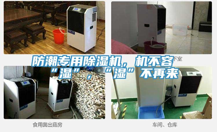 防潮專用除濕機，機不容“濕”，“濕”不再來