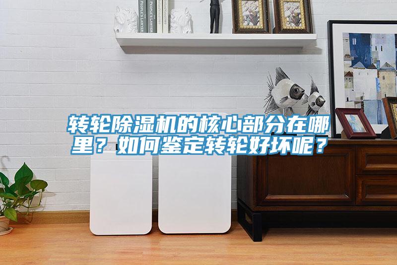 轉(zhuǎn)輪除濕機的核心部分在哪里？如何鑒定轉(zhuǎn)輪好壞呢？