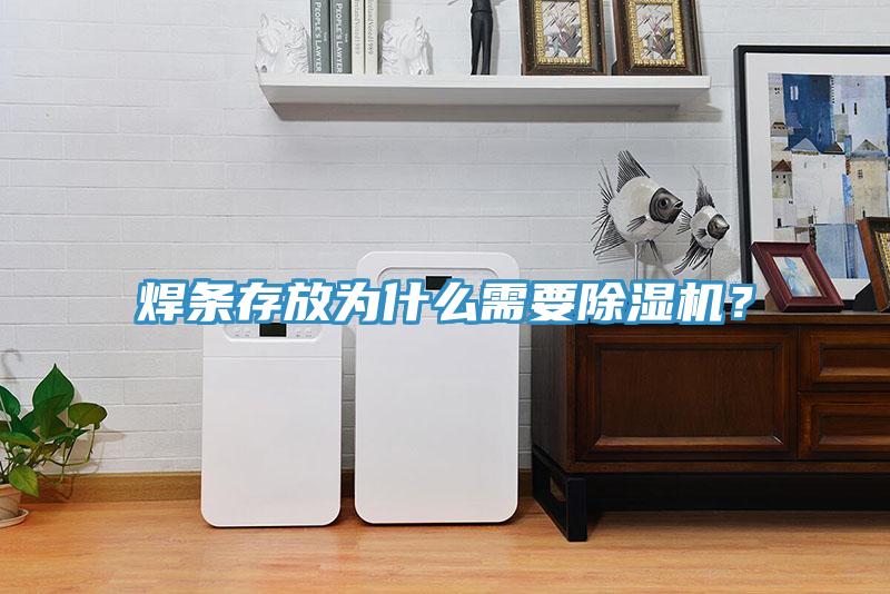 焊條存放為什么需要除濕機(jī)？
