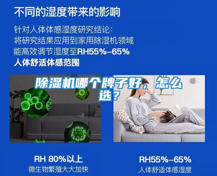 除濕機哪個牌子好，怎么選？