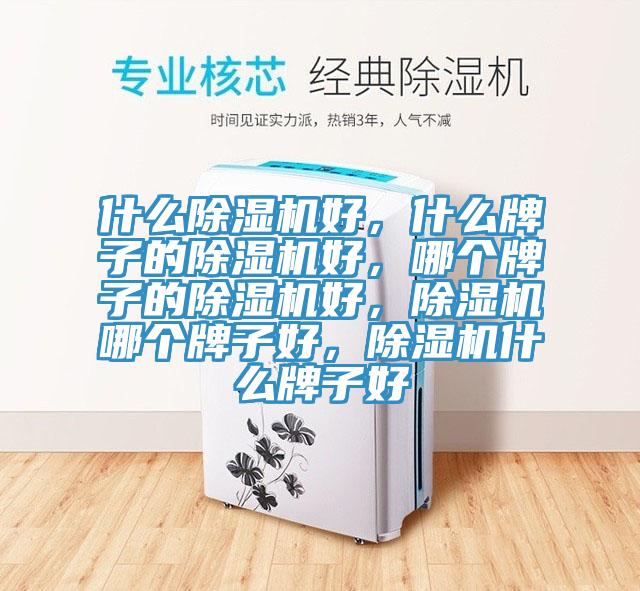 什么除濕機好，什么牌子的除濕機好，哪個牌子的除濕機好，除濕機哪個牌子好，除濕機什么牌子好