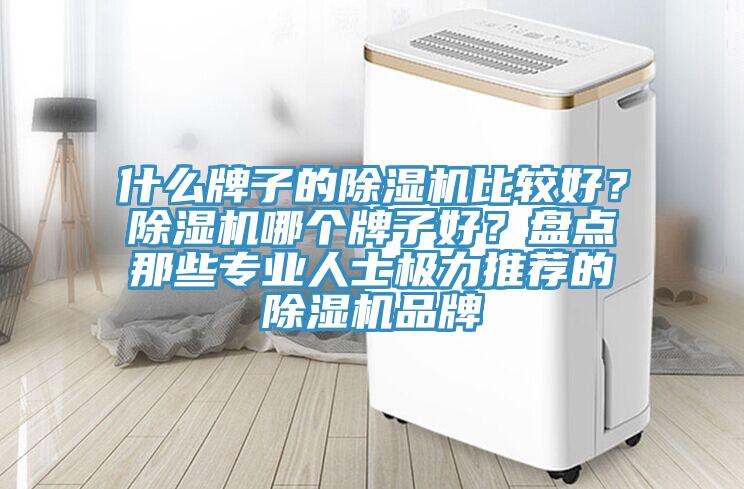 什么牌子的除濕機(jī)比較好？除濕機(jī)哪個牌子好？盤點(diǎn)那些專業(yè)人士極力推薦的除濕機(jī)品牌