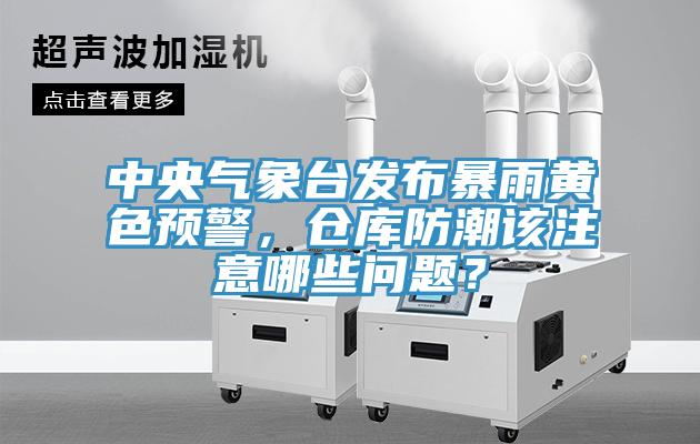 中央氣象臺發(fā)布暴雨黃色預警，倉庫防潮該注意哪些問題？