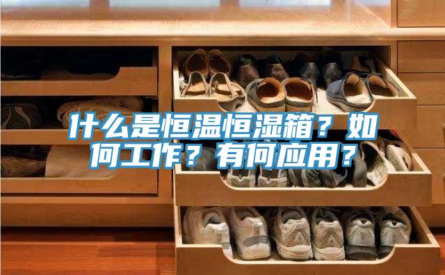 什么是恒溫恒濕箱？如何工作？有何應用？