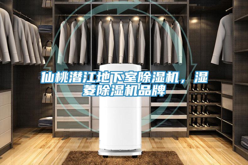 仙桃潛江地下室除濕機(jī)，濕菱除濕機(jī)品牌