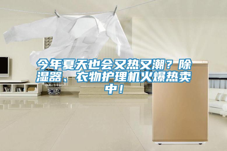 今年夏天也會又熱又潮？除濕器、衣物護理機火爆熱賣中！