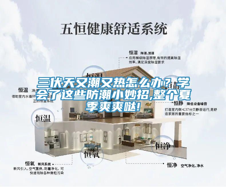 三伏天又潮又熱怎么辦？學(xué)會了這些防潮小妙招,整個夏季爽爽噠!