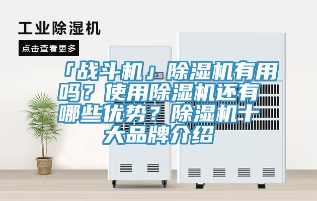 「戰(zhàn)斗機(jī)」除濕機(jī)有用嗎？使用除濕機(jī)還有哪些優(yōu)勢？除濕機(jī)十大品牌介紹