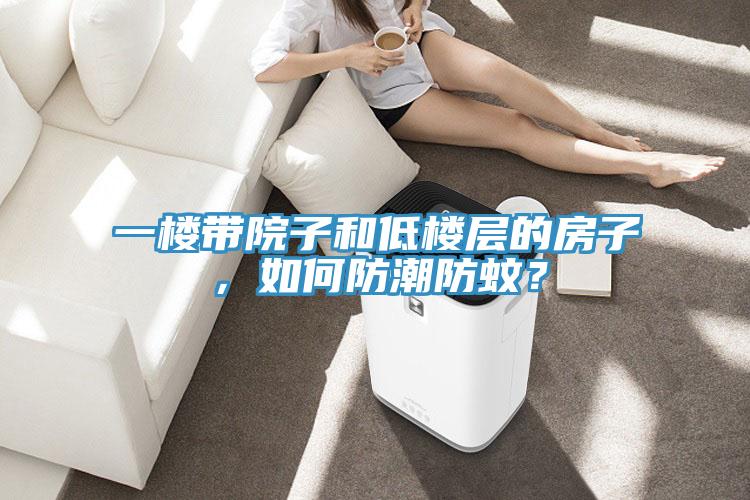 一樓帶院子和低樓層的房子，如何防潮防蚊？