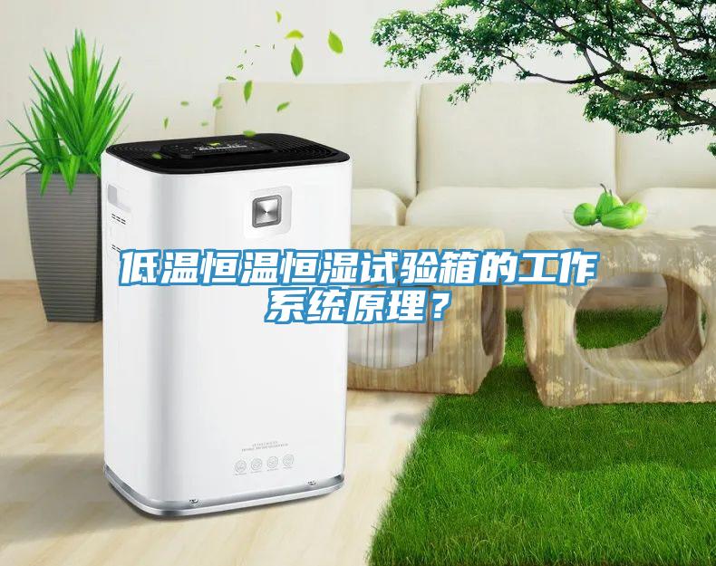 低溫恒溫恒濕試驗箱的工作系統(tǒng)原理？