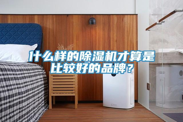 什么樣的除濕機才算是比較好的品牌？