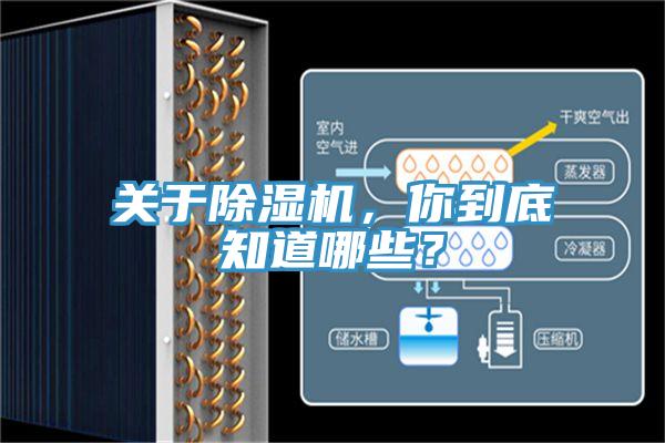 關(guān)于除濕機(jī)，你到底知道哪些？