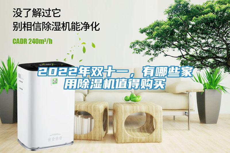 2022年雙十一，有哪些家用除濕機(jī)值得購買