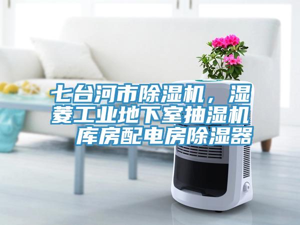 七臺河市除濕機，濕菱工業(yè)地下室抽濕機  庫房配電房除濕器