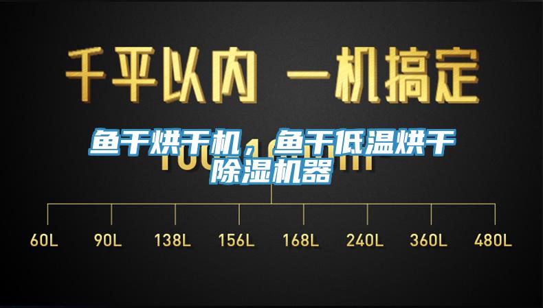 魚干烘干機(jī)，魚干低溫烘干除濕機(jī)器