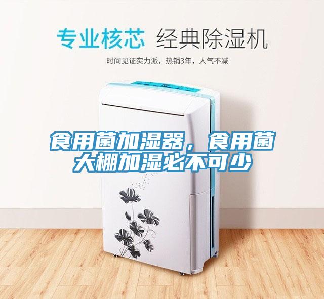 食用菌加濕器，食用菌大棚加濕必不可少