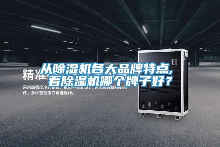 從除濕機(jī)各大品牌特點(diǎn), 看除濕機(jī)哪個牌子好？