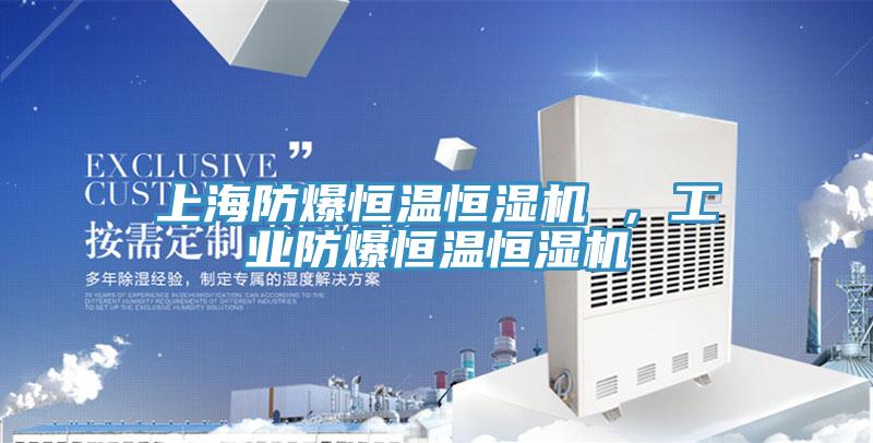 上海防爆恒溫恒濕機(jī) ，工業(yè)防爆恒溫恒濕機(jī)