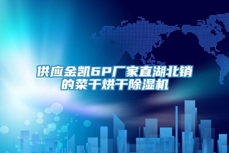供應(yīng)金凱6P廠家直湖北銷(xiāo)的菜干烘干除濕機(jī)