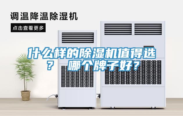 什么樣的除濕機值得選？ 哪個牌子好？