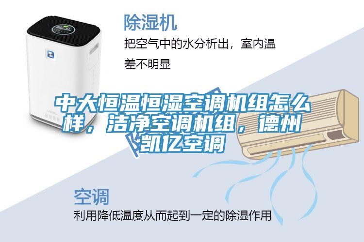 中大恒溫恒濕空調(diào)機(jī)組怎么樣，潔凈空調(diào)機(jī)組，德州凱億空調(diào)