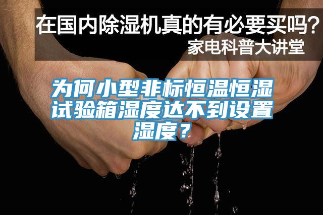 為何小型非標恒溫恒濕試驗箱濕度達不到設(shè)置濕度？