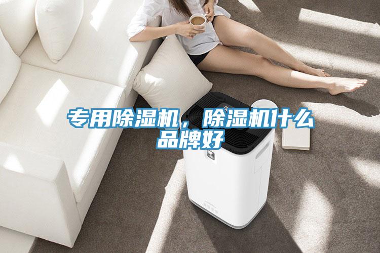 專用除濕機，除濕機什么品牌好