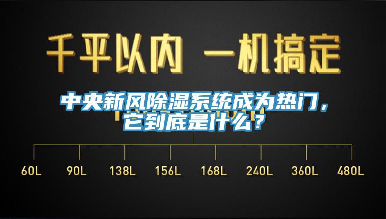 中央新風(fēng)除濕系統(tǒng)成為熱門，它到底是什么？