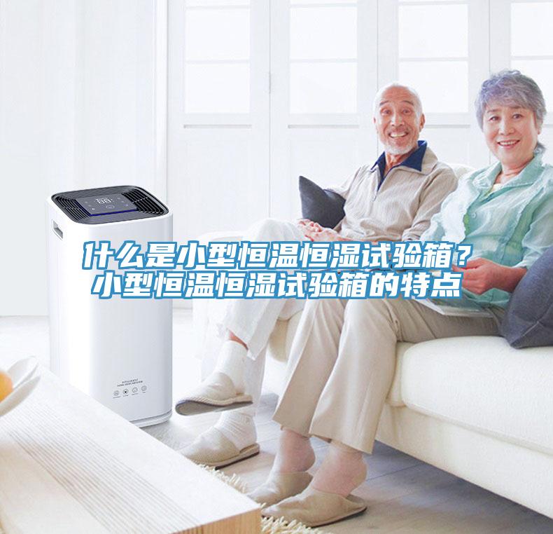什么是小型恒溫恒濕試驗(yàn)箱？小型恒溫恒濕試驗(yàn)箱的特點(diǎn)