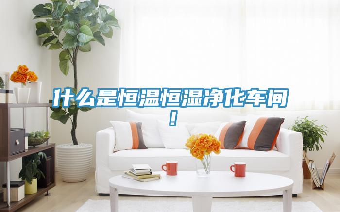 什么是恒溫恒濕凈化車間！