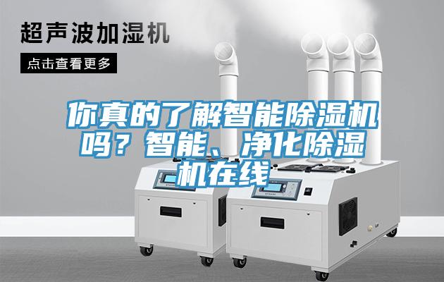 你真的了解智能除濕機(jī)嗎？智能、凈化除濕機(jī)在線