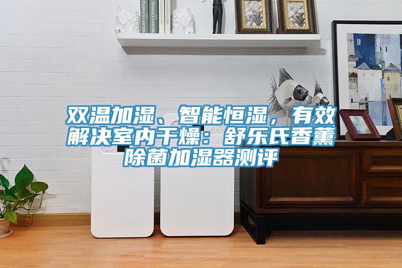 雙溫加濕、智能恒濕，有效解決室內(nèi)干燥：舒樂氏香薰除菌加濕器測評