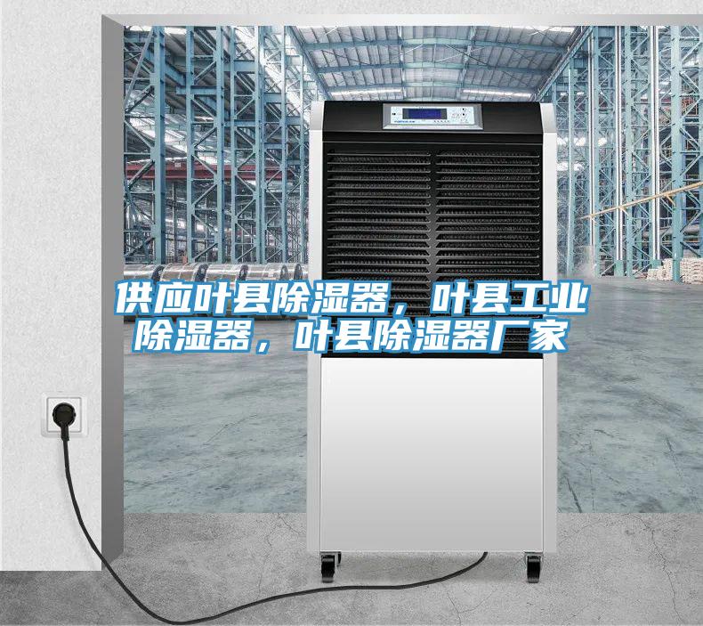 供應(yīng)葉縣除濕器，葉縣工業(yè)除濕器，葉縣除濕器廠家