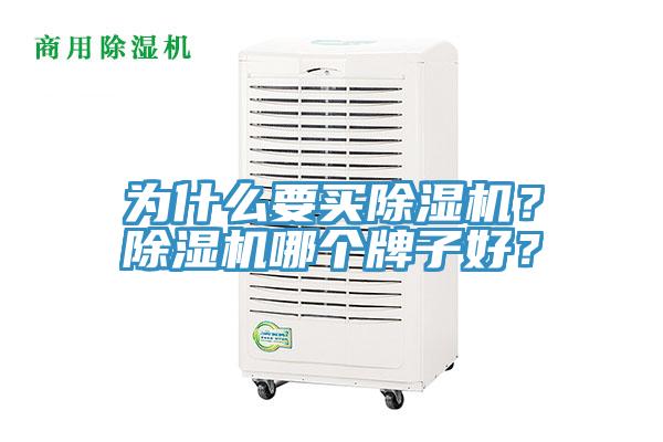 為什么要買除濕機？除濕機哪個牌子好？