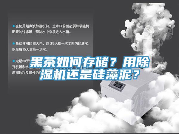 黑茶如何存儲？用除濕機還是硅藻泥？