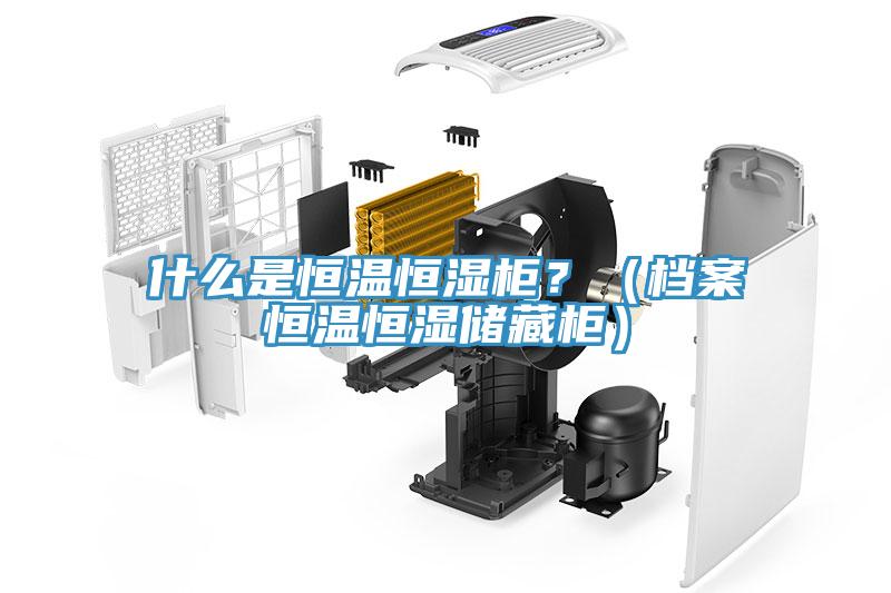 什么是恒溫恒濕柜？（檔案恒溫恒濕儲藏柜）