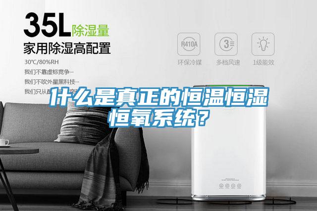 什么是真正的恒溫恒濕恒氧系統(tǒng)？