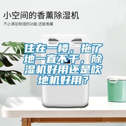 住在一樓，拖了地一直不干，除濕機(jī)好用還是吹地機(jī)好用？