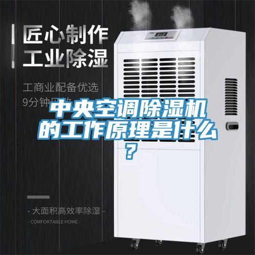 中央空調(diào)除濕機(jī)的工作原理是什么？