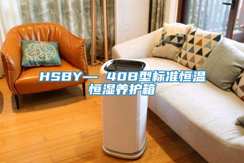 HSBY— 40B型標(biāo)準(zhǔn)恒溫恒濕養(yǎng)護箱