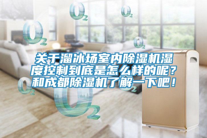 關(guān)于溜冰場室內(nèi)除濕機(jī)濕度控制到底是怎么樣的呢？和成都除濕機(jī)了解一下吧！
