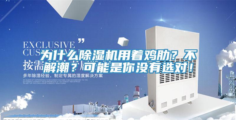 為什么除濕機用著雞肋？不解潮？可能是你沒有選對！